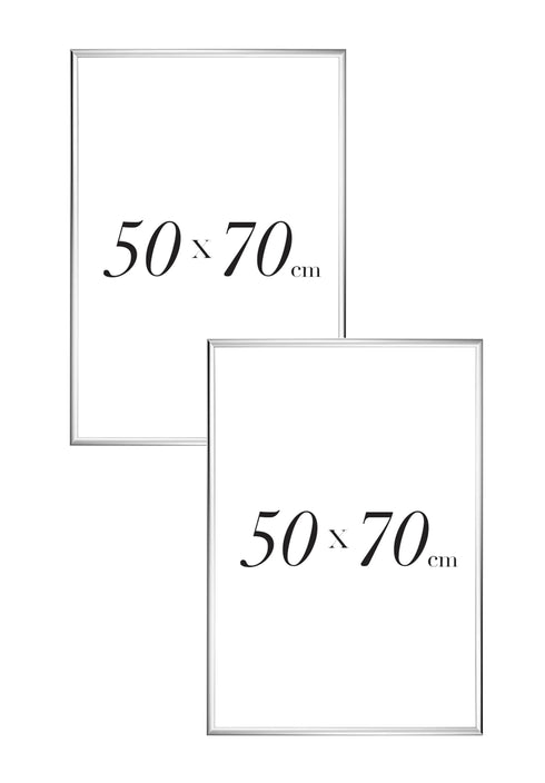 Set Of 2 Silver Metallic Frames 50x70cm